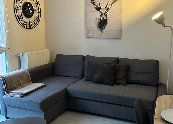 & Cozy - La Cavalerie Alsacienne