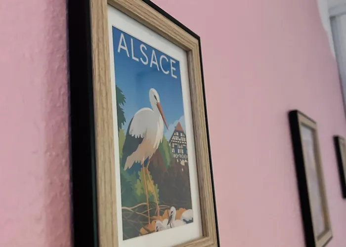 & Cozy - La Cavalerie Alsacienne Colmar